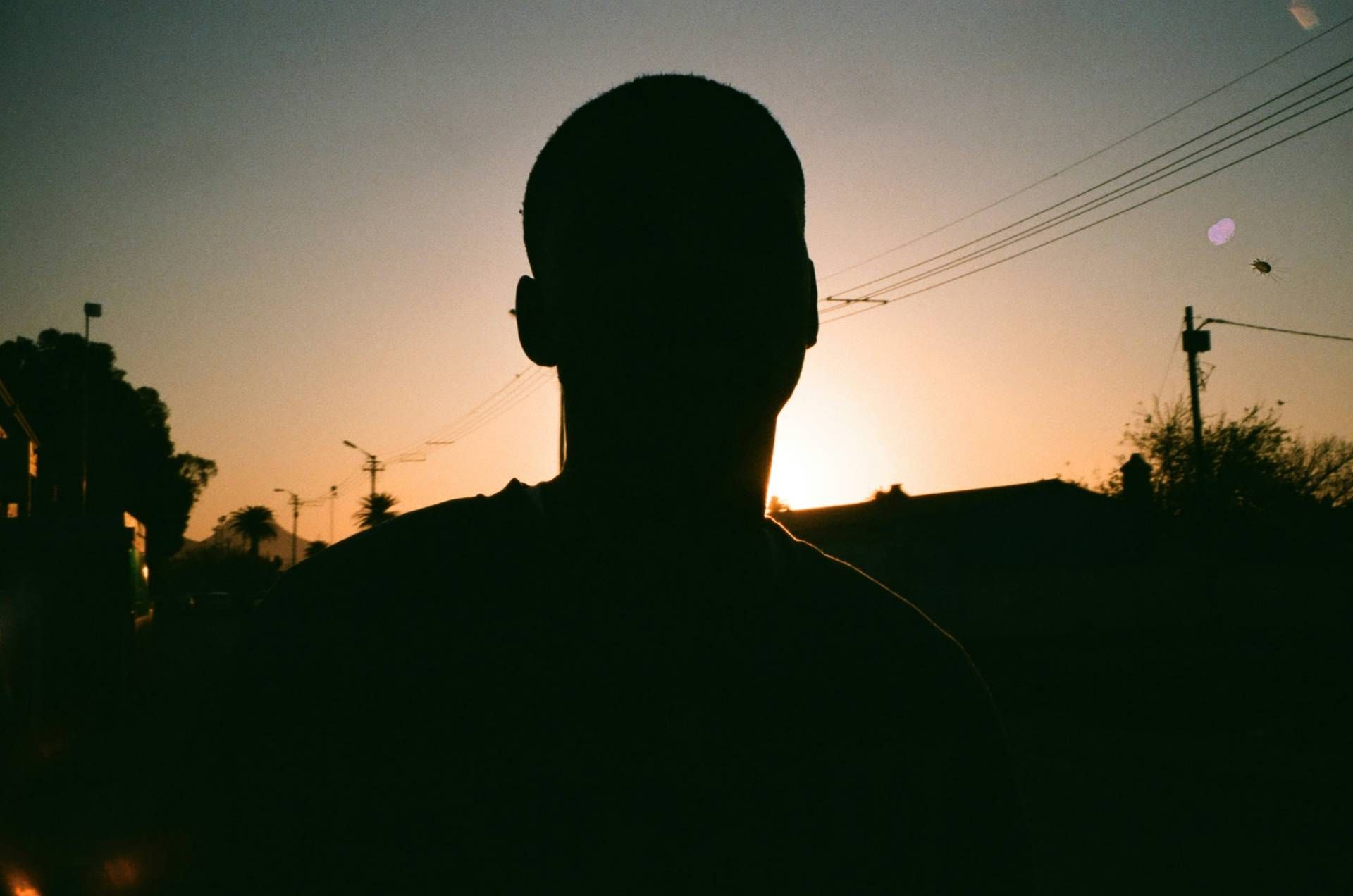 Circuit Légendes du Cap et de la savane 4* pas cher photo 21