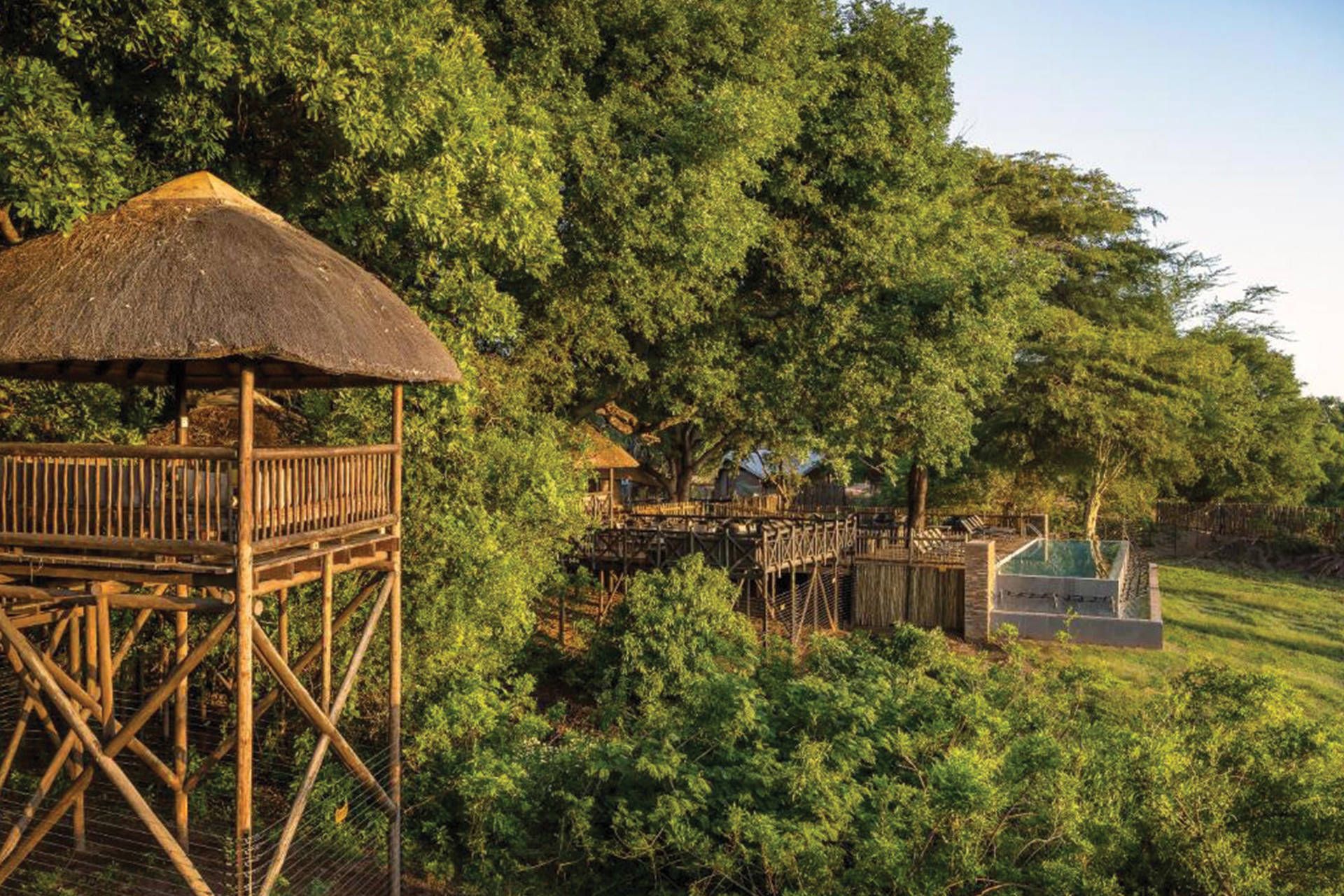 Circuit Terres d'Afrique Australe : de Kruger à Chobe 4* pas cher photo 18