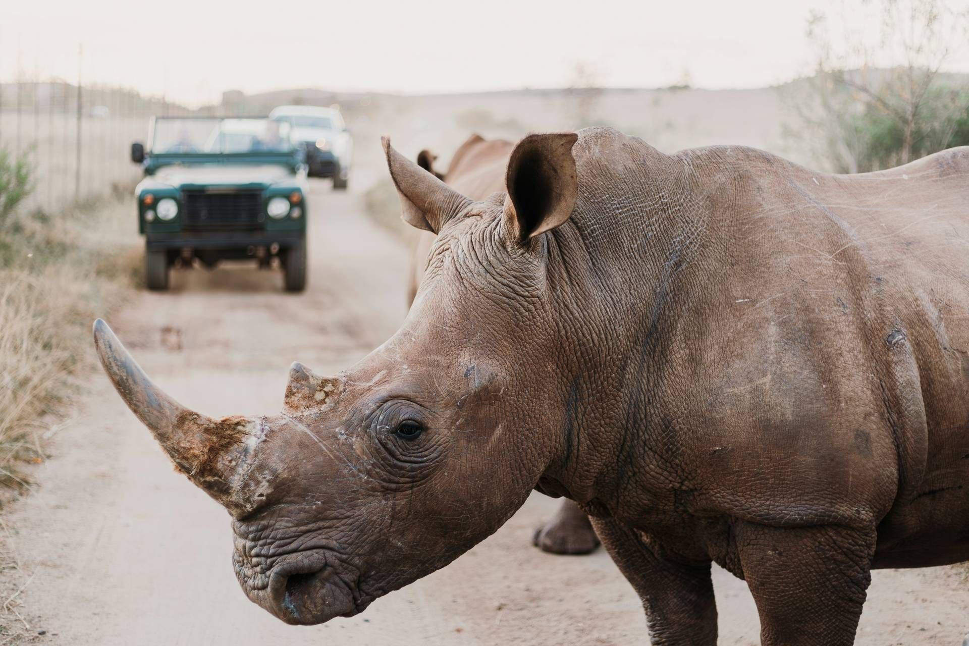 Circuit Essence de l'Afrique du Sud : du Cap aux terres sauvages 4* pas cher photo 16