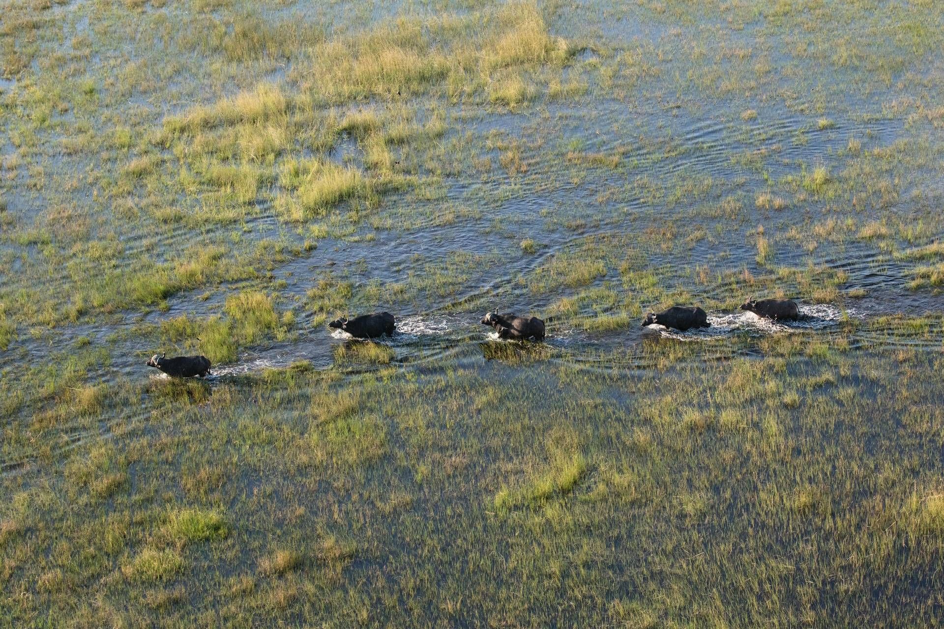 Circuit Éclats de l'Afrique australe 4* pas cher photo 19