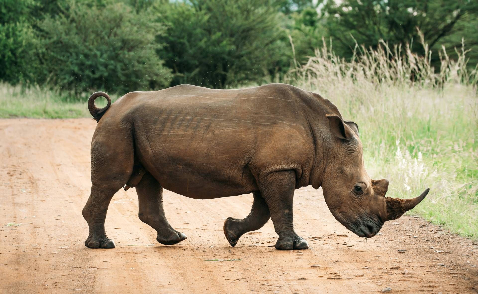 Circuit Essence d'Afrique du Sud et extension aux Chutes Victoria 4* pas cher photo 11