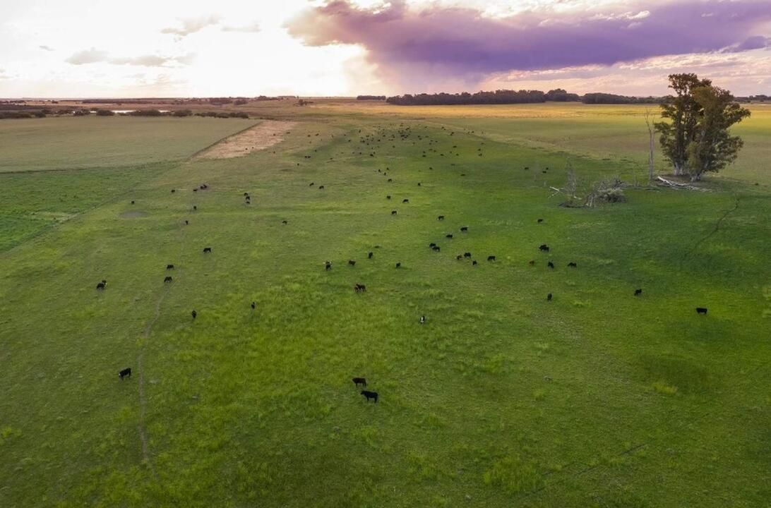 Circuit Escapade en Argentine 3*-4* pas cher photo 16