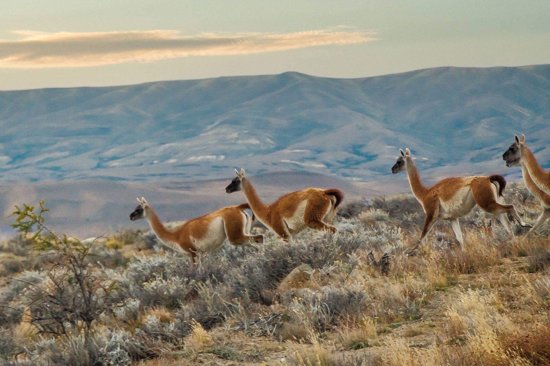 Circuit Le grand tour argentin : des Andes aux merveilles d'Iguazú pas cher photo 10
