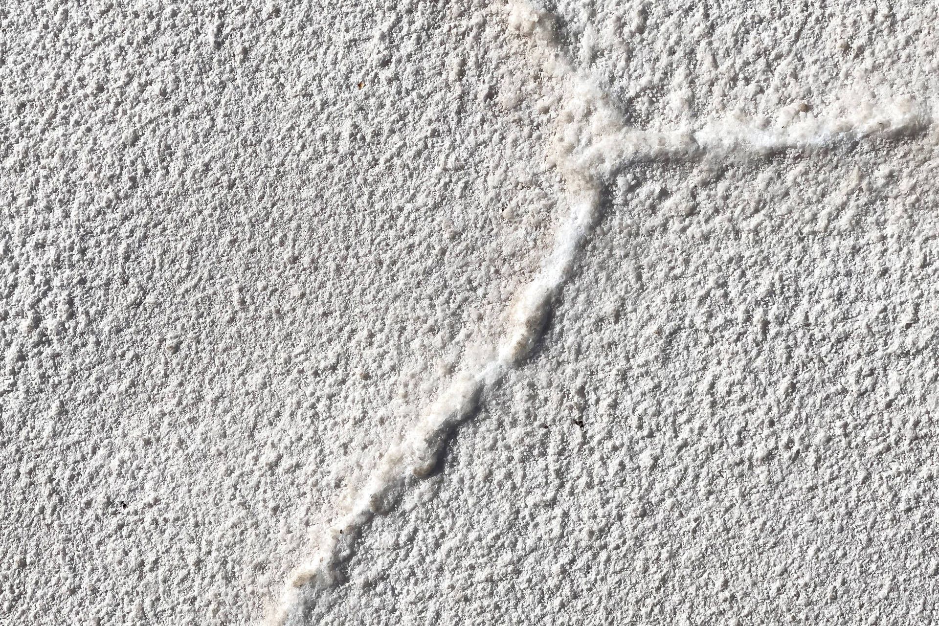 Circuit Le grand tour argentin : des Andes aux merveilles d'Iguazú pas cher photo 13