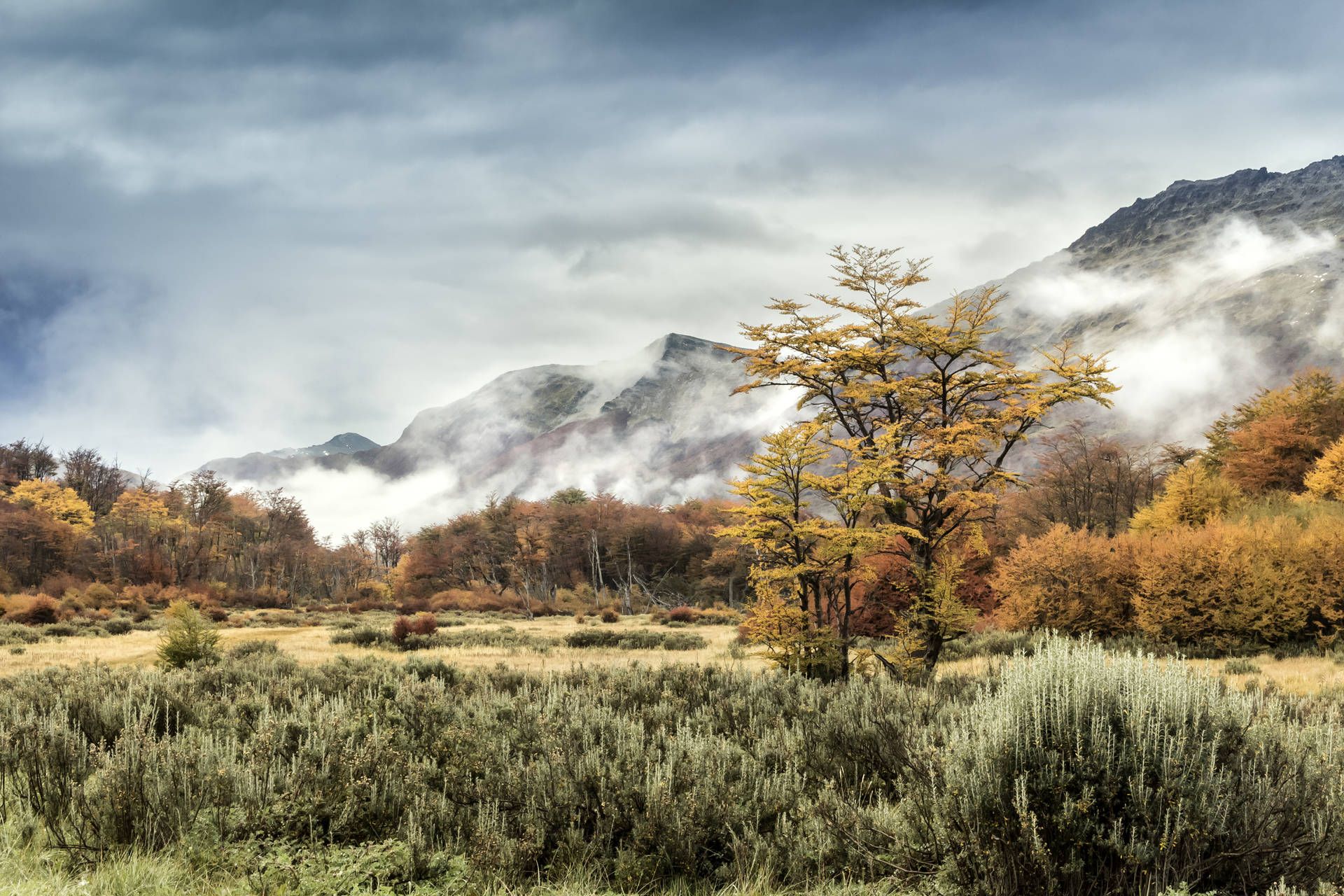 Circuit Le grand tour argentin : des Andes à la Terre de Feu pas cher photo 8