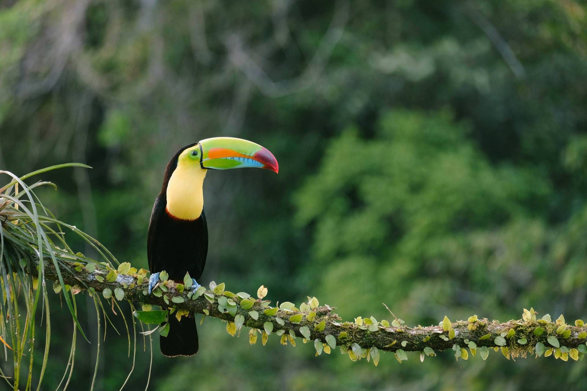 Circuit Le grand tour argentin : des Andes à la Terre de Feu pas cher photo 12