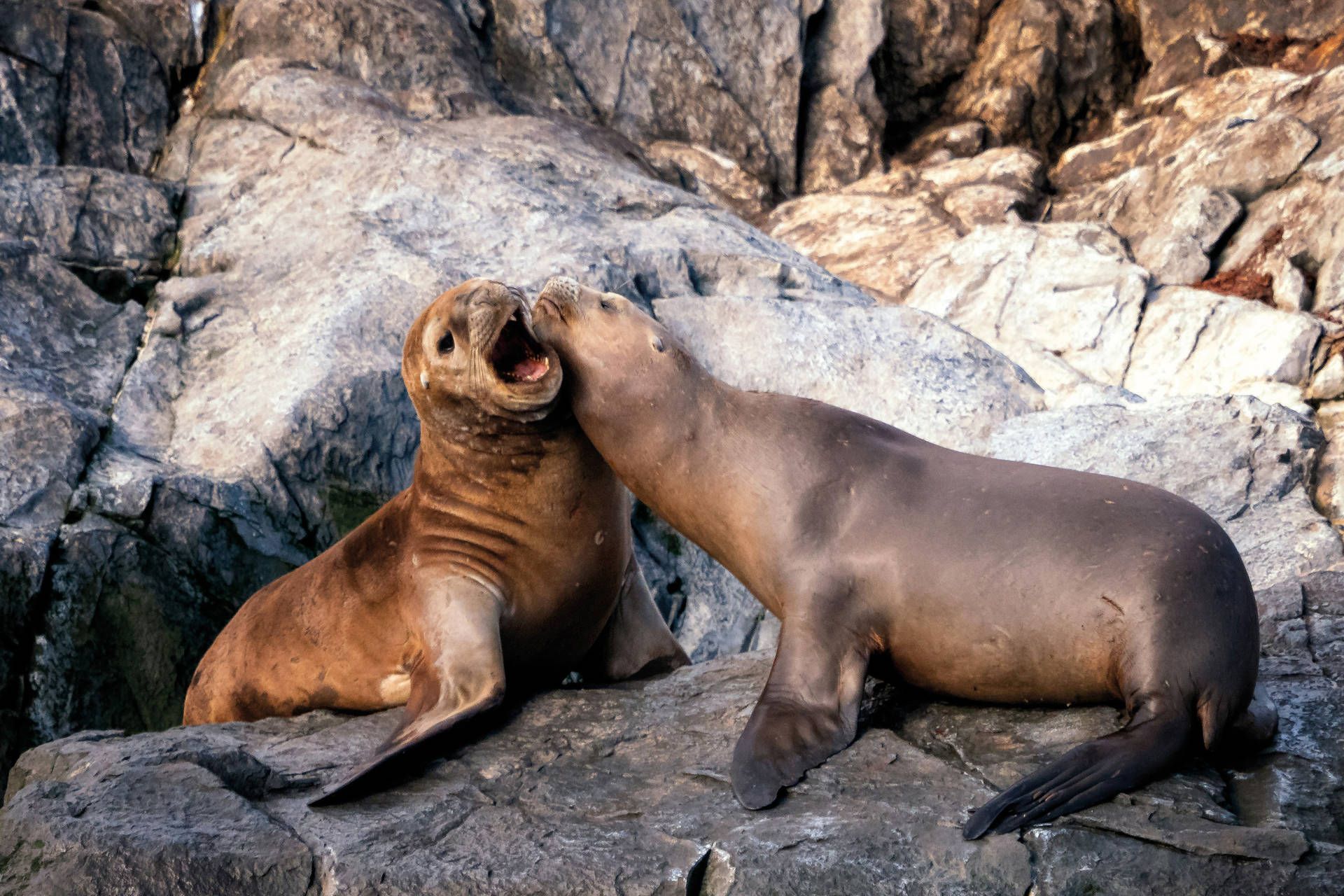 Circuit Le grand tour argentin : des Andes à la Terre de Feu pas cher photo 13