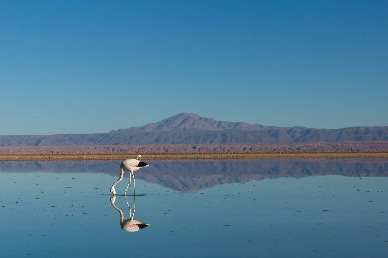 Mon Circuit Privé Mystère d'Atacama et île de Pâques 3*-4* pas cher photo 1