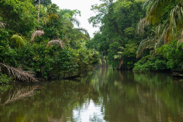 Circuit Costa Rica : Au Coeur des Volcans et de Tortuguero pas cher