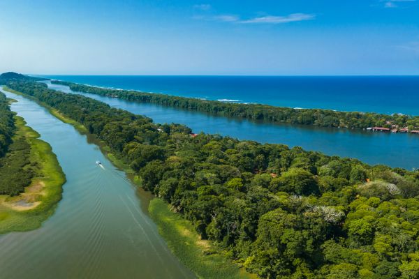 Circuit Costa Rica : Au Coeur des Volcans et de Tortuguero pas cher photo 29