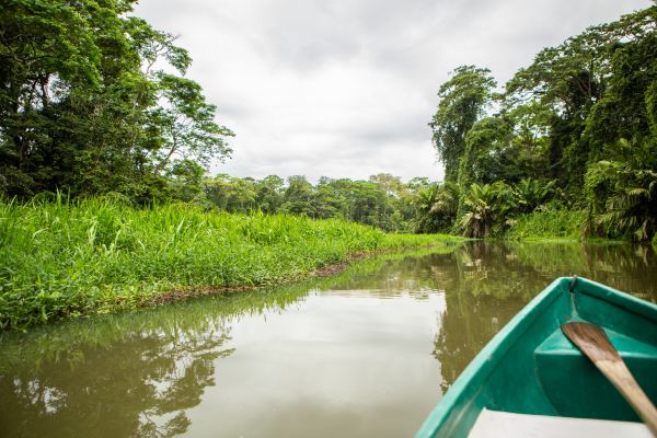 Circuit Costa Rica : Au Coeur des Volcans et de Tortuguero pas cher photo 30
