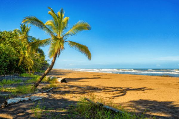 Circuit Costa Rica : Au Coeur des Volcans et de Tortuguero pas cher photo 35