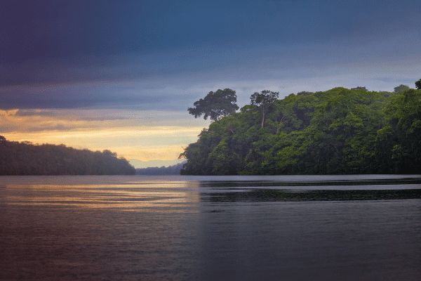 Circuit Costa Rica : Au Coeur des Volcans et de Tortuguero pas cher photo 39