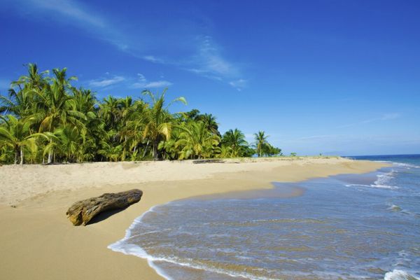 Circuit Costa Rica : Au Coeur des Volcans et des Plages du Pacifique pas cher
