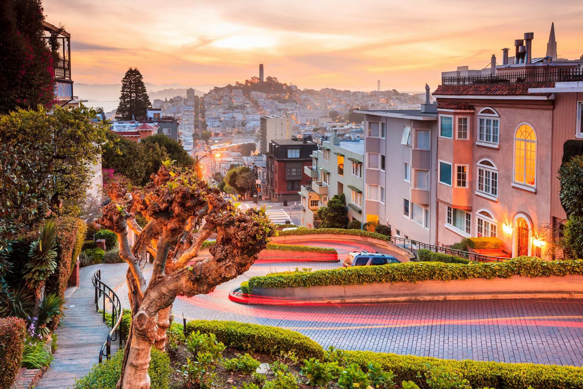 American Ouest + Ext. San Francisco - 12J/10N - 2026/27 pas cher photo 1