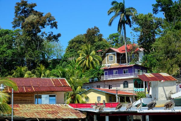 Circuit Guatemala, Sur la Piste du Quetzal et Belize pas cher photo 8