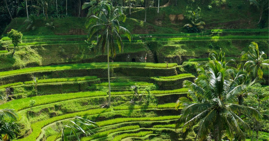 Circuit en liberté entre Bali et Gili Trawangan pas cher photo 1
