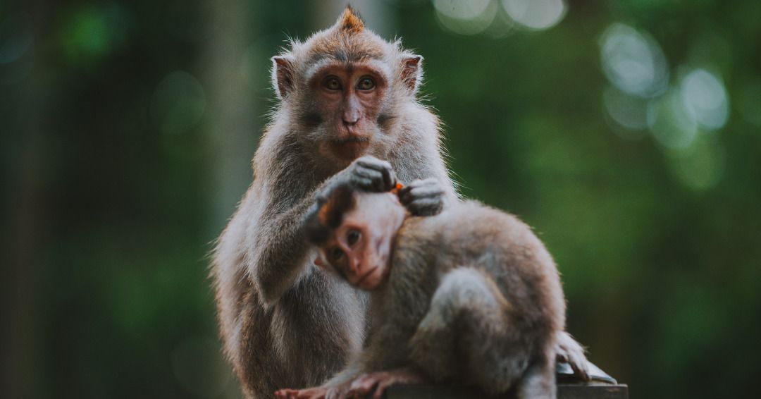Circuit en liberté entre Bali et Gili Trawangan pas cher photo 7