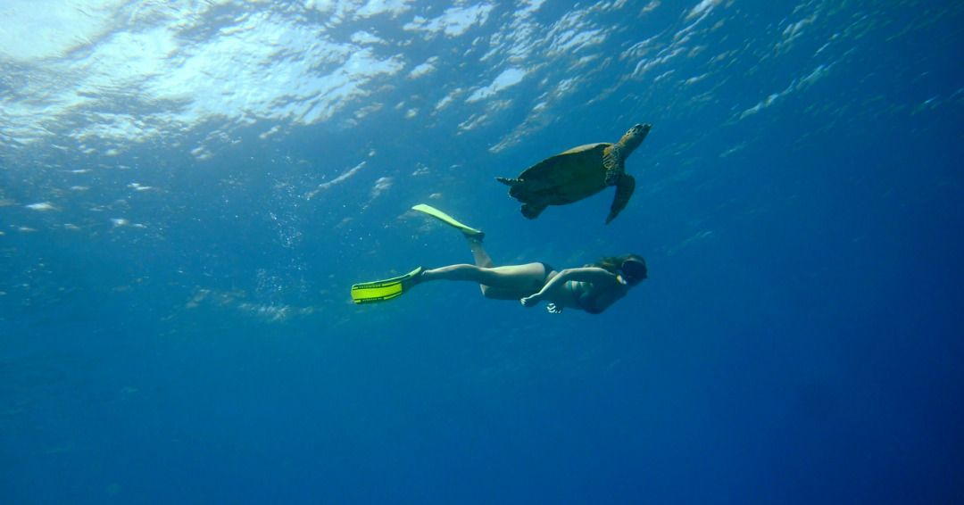 Circuit en liberté entre Bali et Gili Trawangan pas cher photo 8