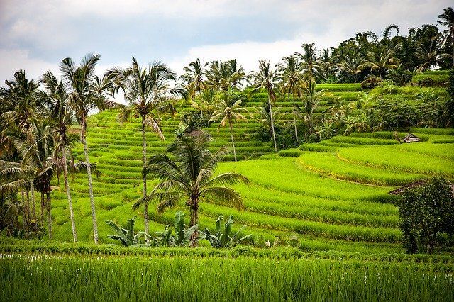 Mon Circuit Privé Evasion au Sud de Bali 3* pas cher photo 5