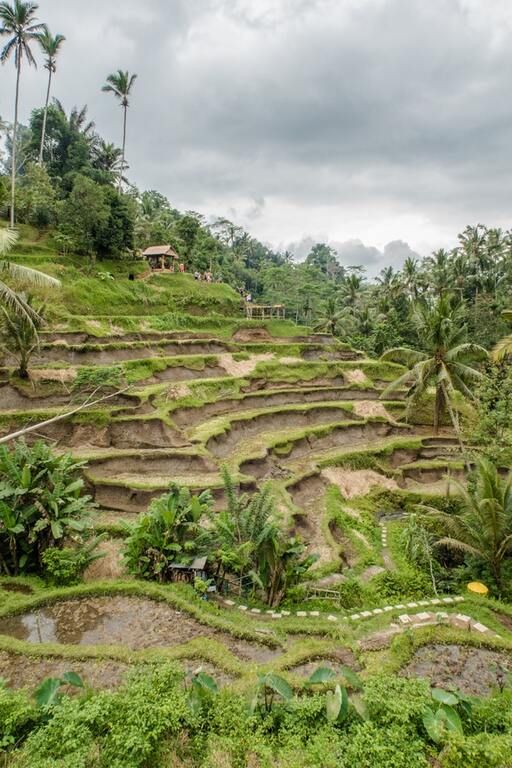 Mon Circuit Privé Evasion au Sud de Bali 3* pas cher photo 8