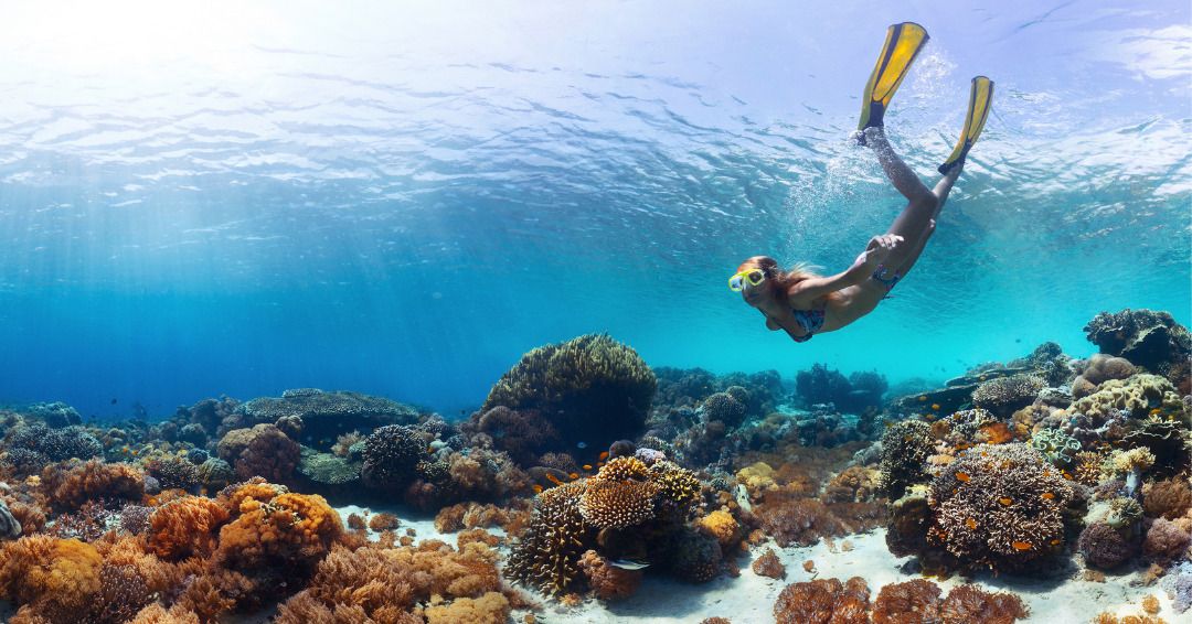 Circuit Privatif Echappée Balinaise pas cher photo 9