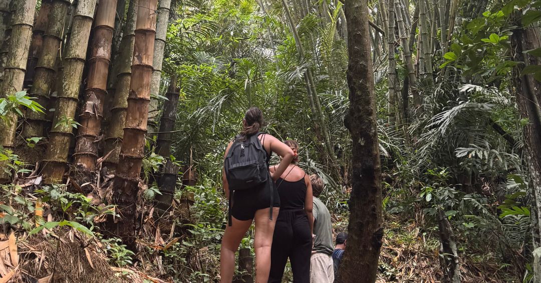 Circuit Privatif Bali du Centre au Nord pas cher photo 1