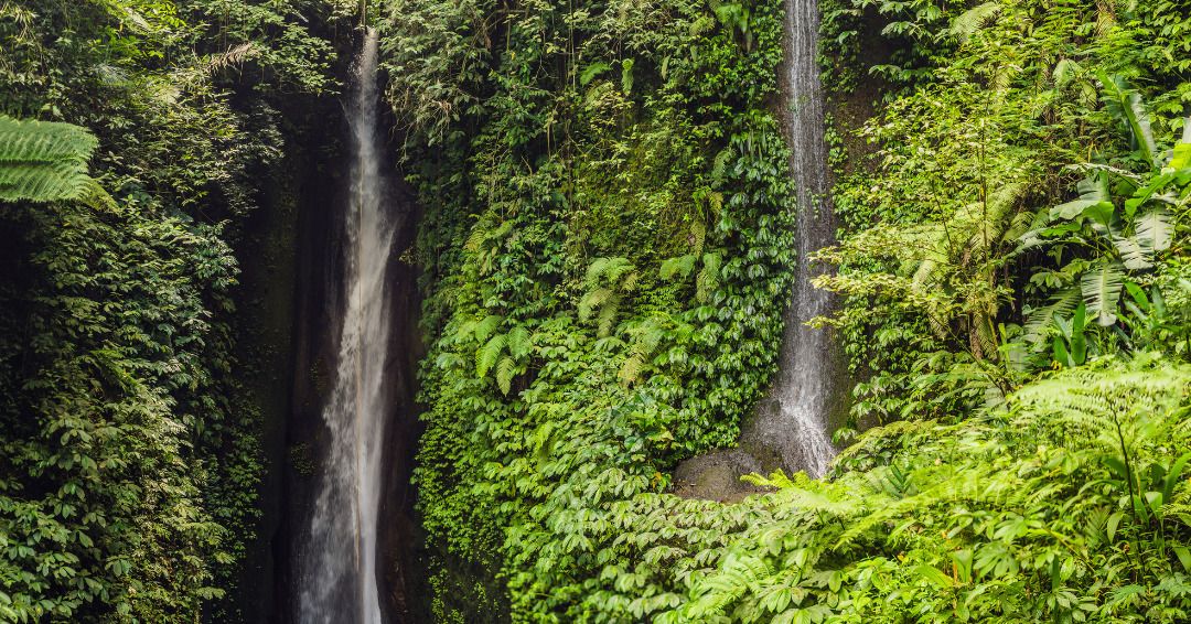 Circuit Privatif Bali du Centre au Nord pas cher photo 11