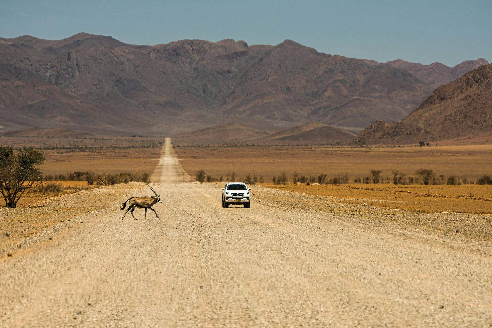 Autotour Sur les routes de Namibie 4* pas cher photo 2