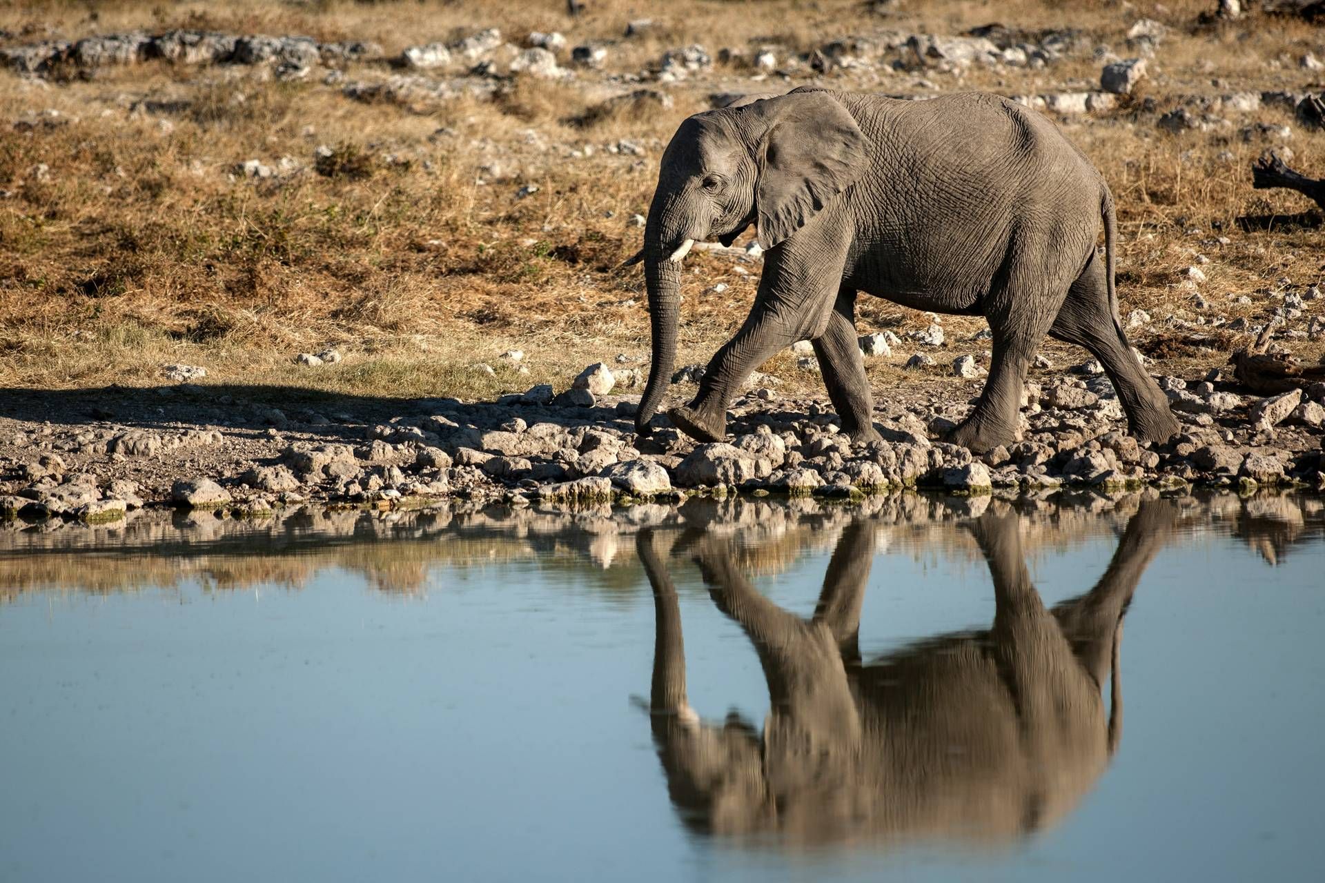 Autotour Sur les routes de Namibie 4* pas cher photo 7