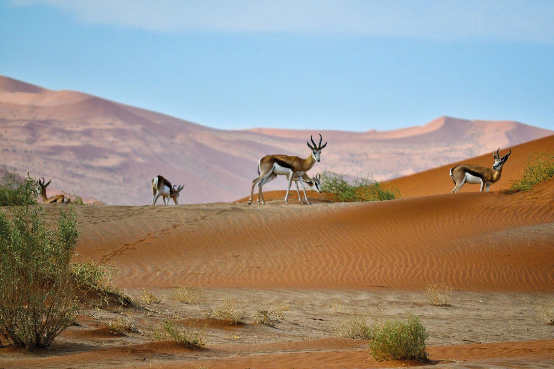 Autotour Sur les routes de Namibie 4* pas cher photo 10