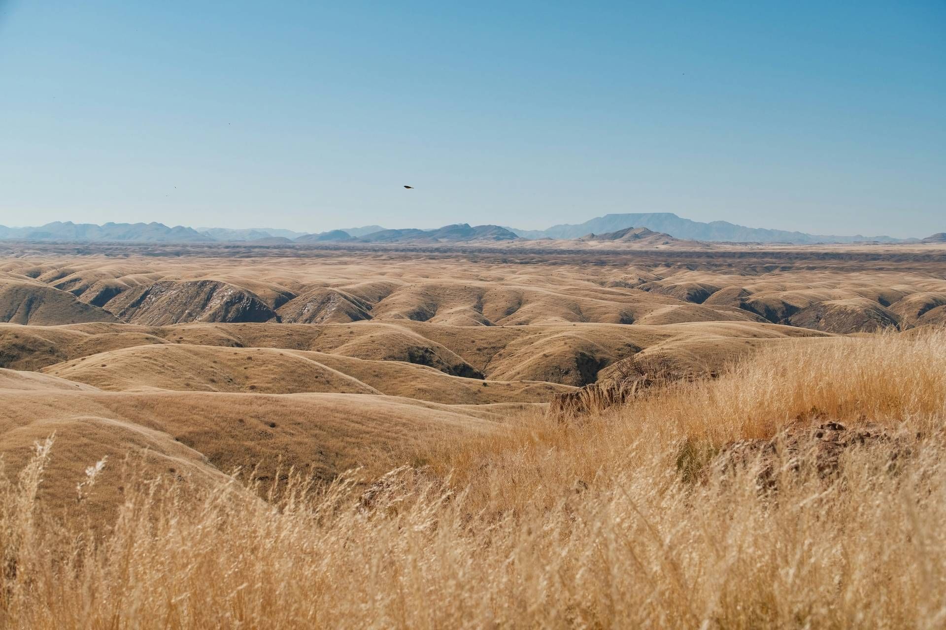 Autotour Sur les routes de Namibie 4* pas cher photo 11