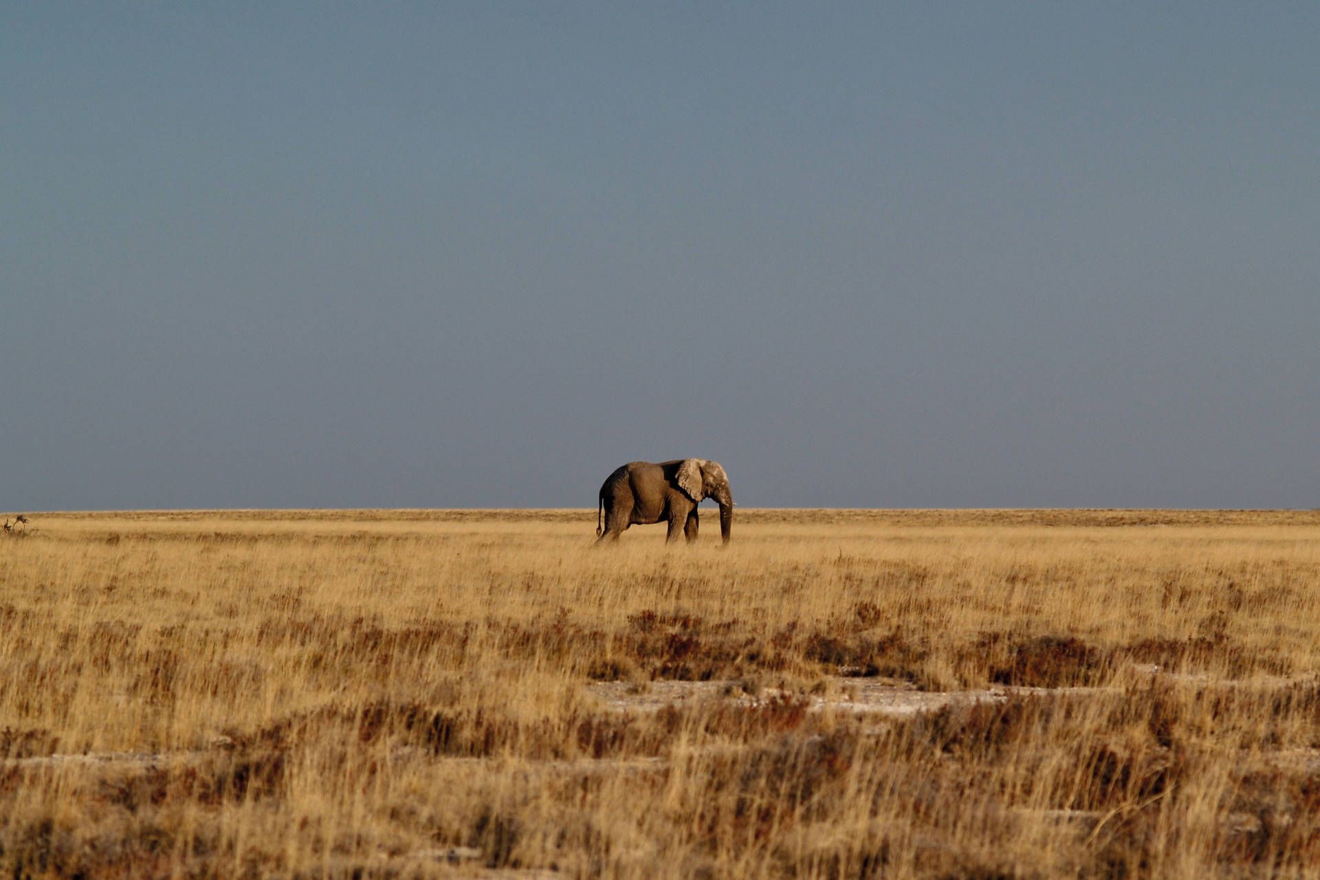 Autotour Sur les routes de Namibie 4* pas cher photo 15