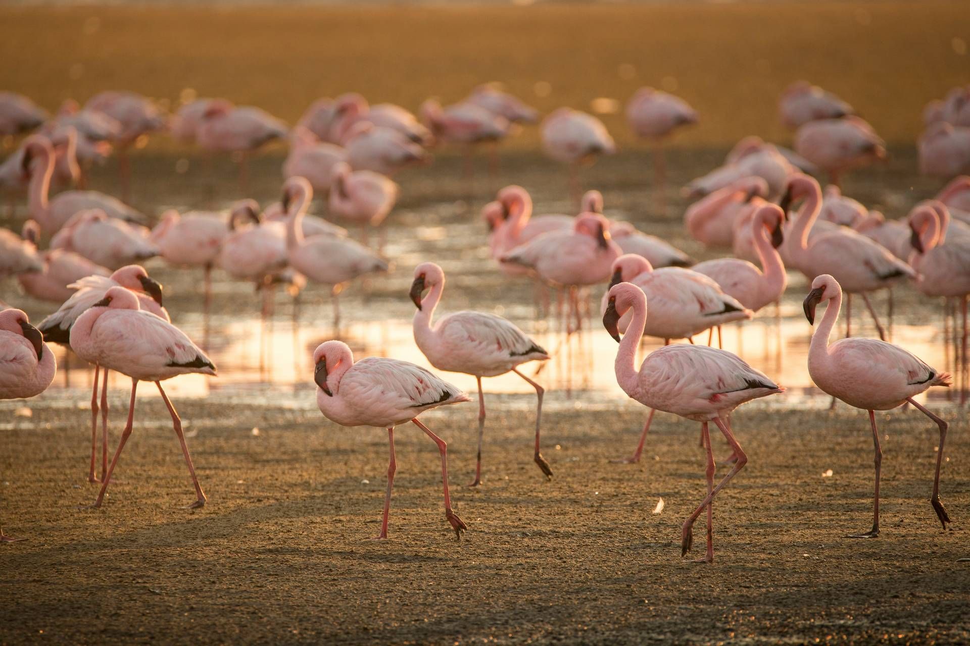 Autotour Sur les routes de Namibie 4* pas cher photo 18