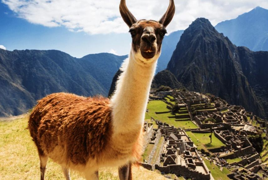 Circuit Privatif Héritage Péruvien et extension Amazonie 3* ou 4* pas cher