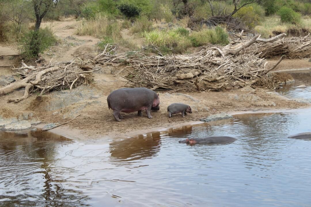 Safari Privatif Aventure Tanzanienne pas cher photo 15