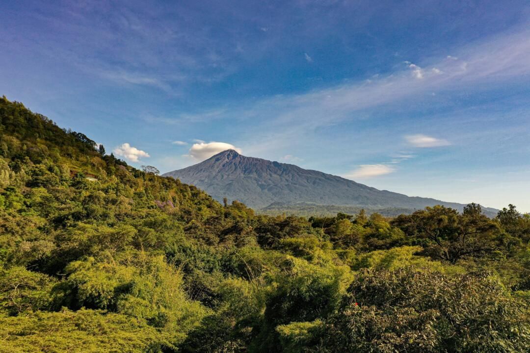 Safari Privatif Aventure Tanzanienne pas cher photo 22