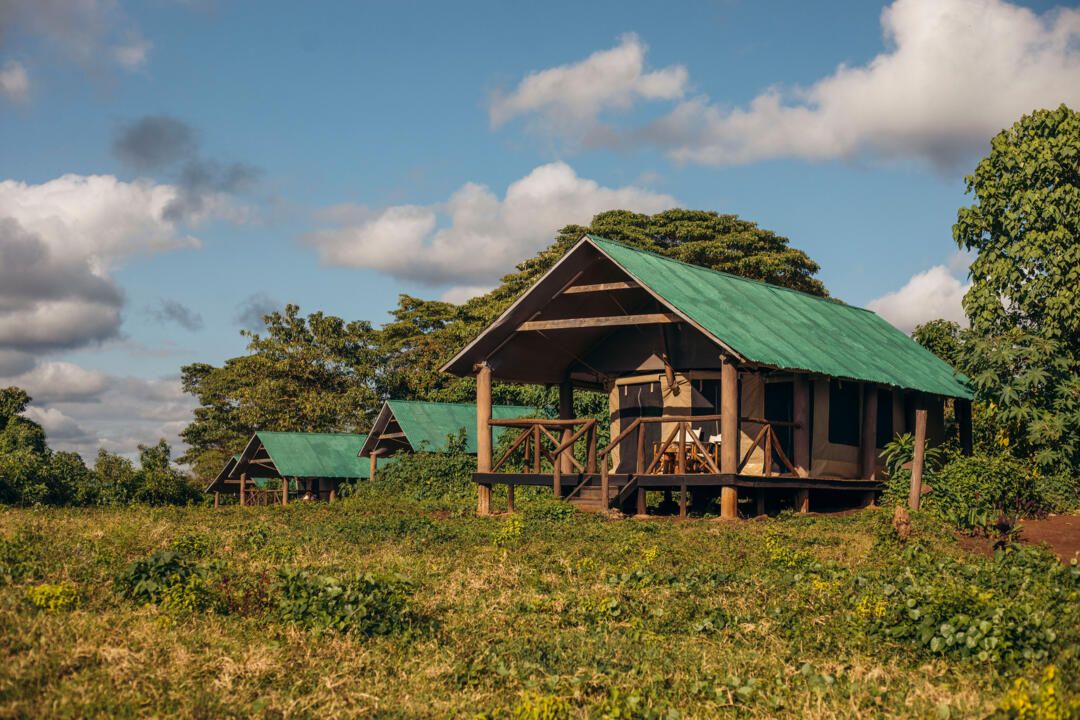Safari Privatif Aventure Tanzanienne pas cher photo 34