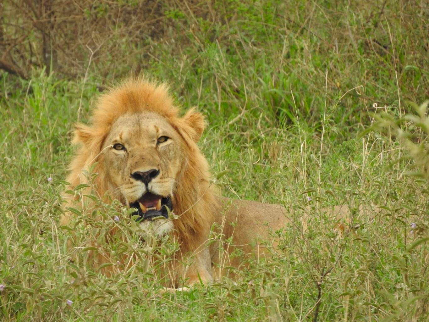 Safari Privatif Aventure Tanzanienne pas cher photo 8
