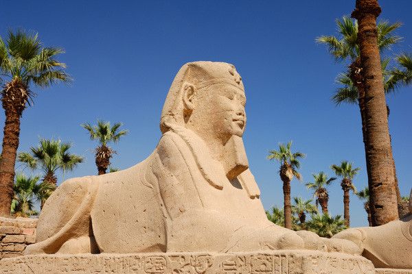 Circuit Toute l'Egypte entre Le Caire, Louxor et Hurghada (inclus Grand musée égyptien) pas cher photo 13