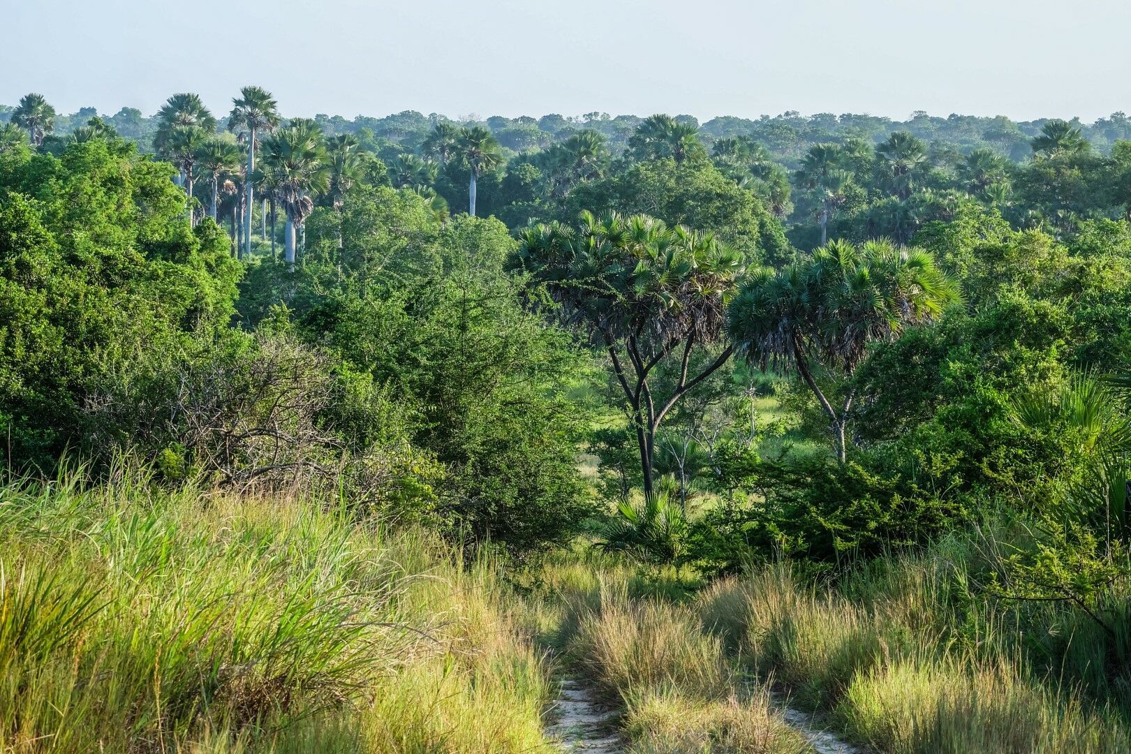 Safaris à Saadani & Balnéaire à Zanzibar 9J/7N - 2026 pas cher photo 8