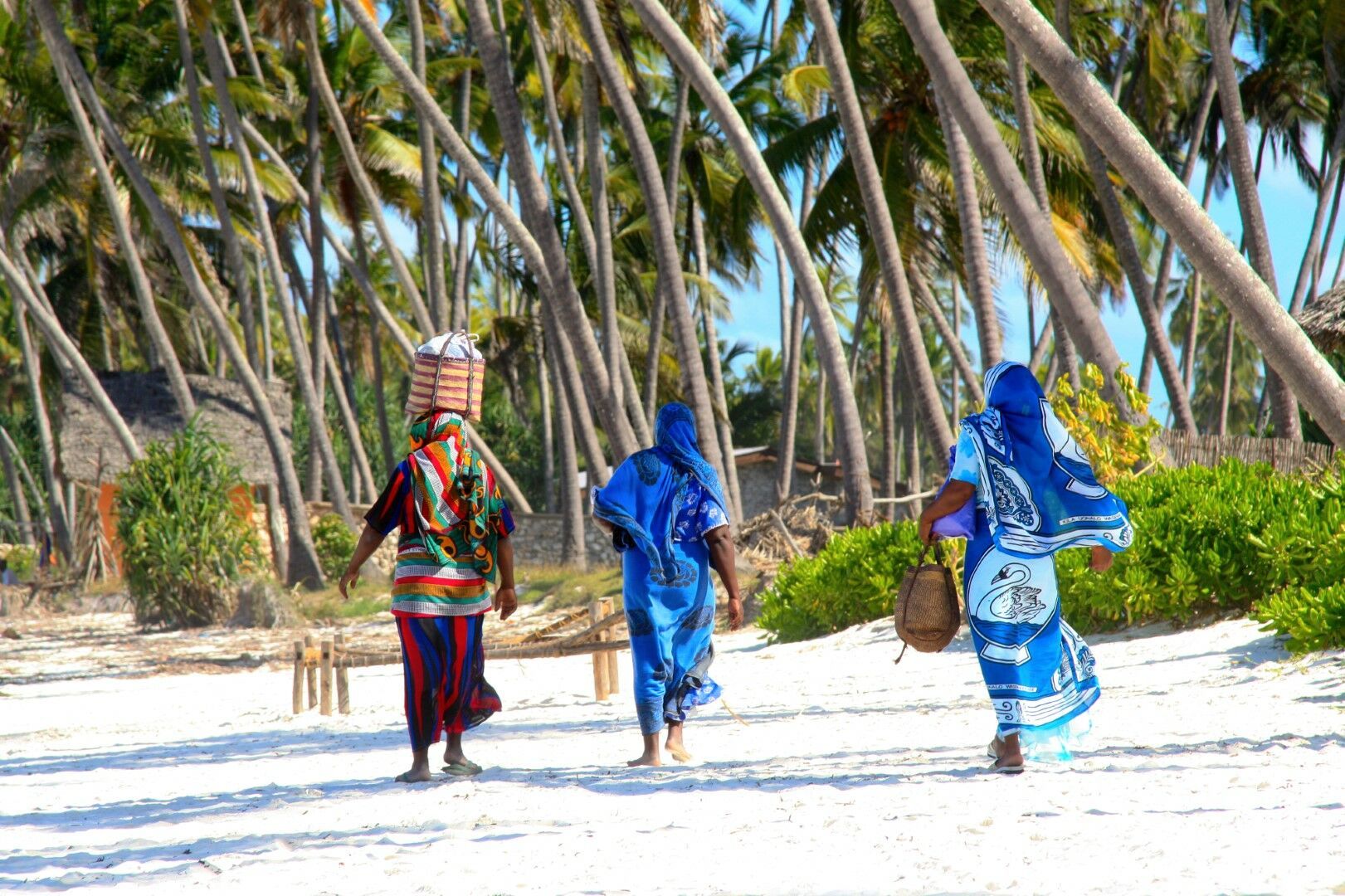 Safaris à Saadani & Balnéaire à Zanzibar 9J/7N - 2026 pas cher photo 11