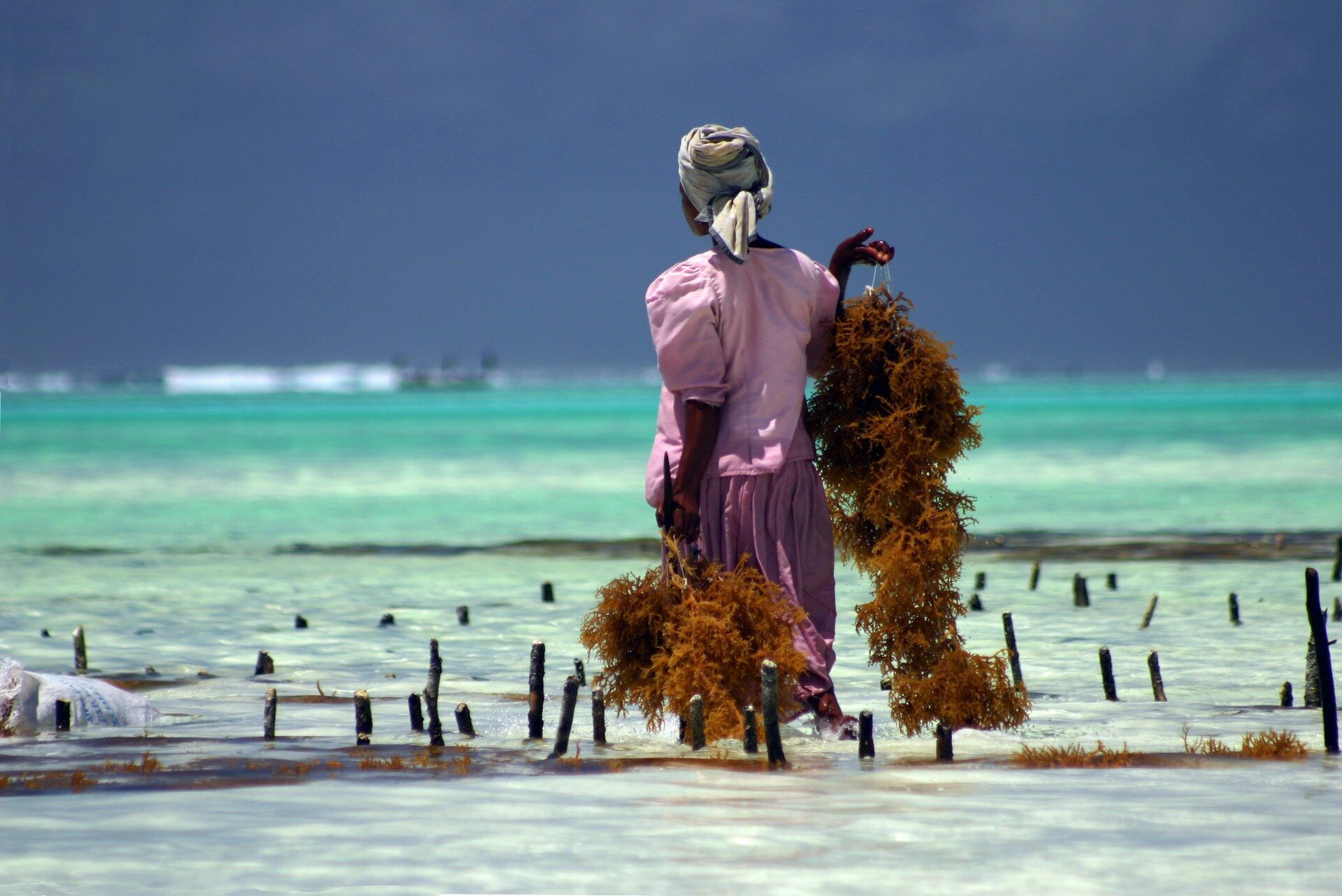 Le Kenya Autrement & Balnéaire à Zanzibar 17J/15N - 2026 pas cher photo 11
