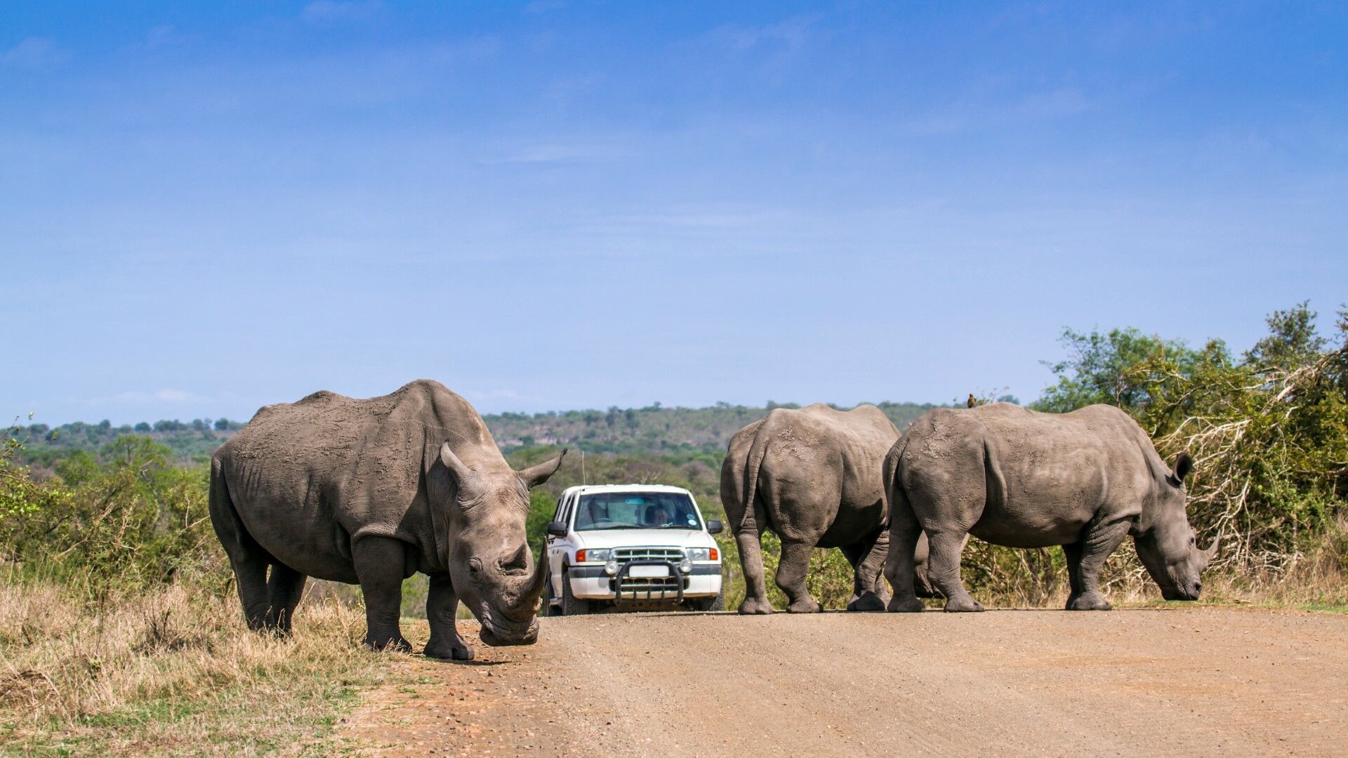 Autotour Safaris & Canyon Sud-Africains - 9J/6N pas cher photo 2