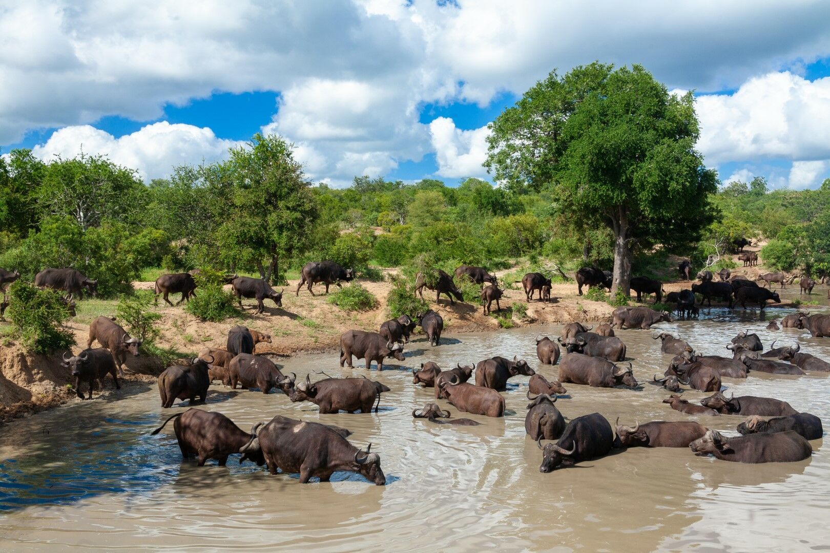 Autotour Safaris & Canyon Sud-Africains - 9J/6N pas cher photo 5