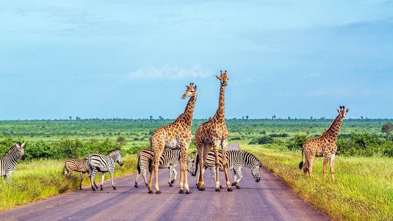 Sur les routes de l'Afrique du Sud, pays de l'arc-en-ciel - 3* pas cher photo 1