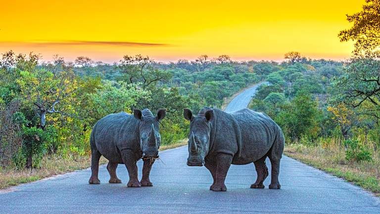 Sur les routes de l'Afrique du Sud, pays de l'arc-en-ciel - 3* pas cher photo 2