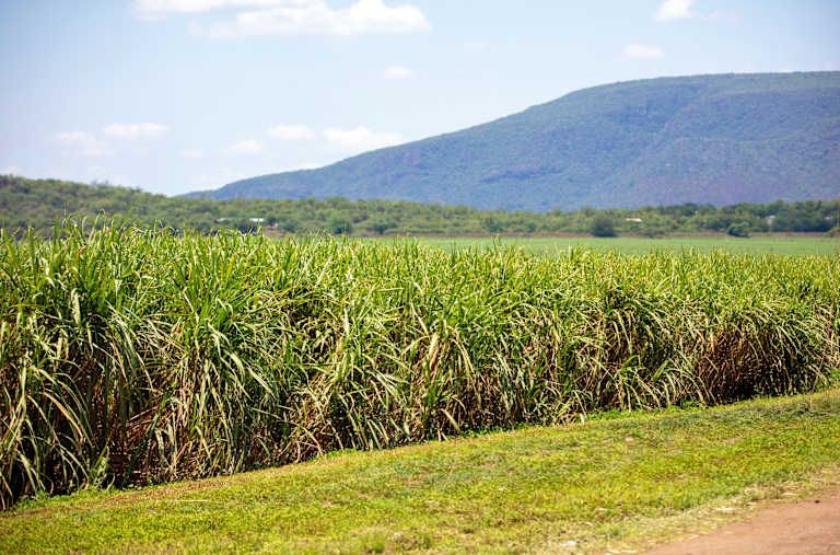 Sur les routes de l'Afrique du Sud, pays de l'arc-en-ciel - 3* pas cher photo 11