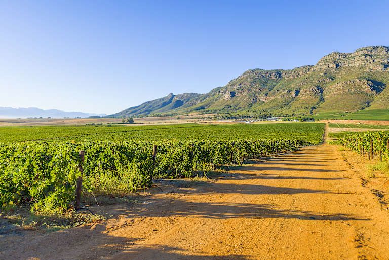Sur les routes de l'Afrique du Sud, pays de l'arc-en-ciel - 3* pas cher photo 12