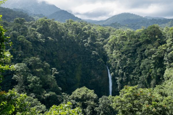 Circuit Naturellement Costa Rica pas cher photo 23